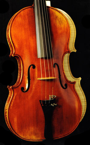 photo of 5-string viola